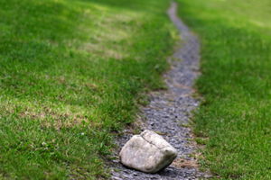 Komplex-Systemische Trauma-Therapie Bild Komplex-Systemische Trauma-Therapie